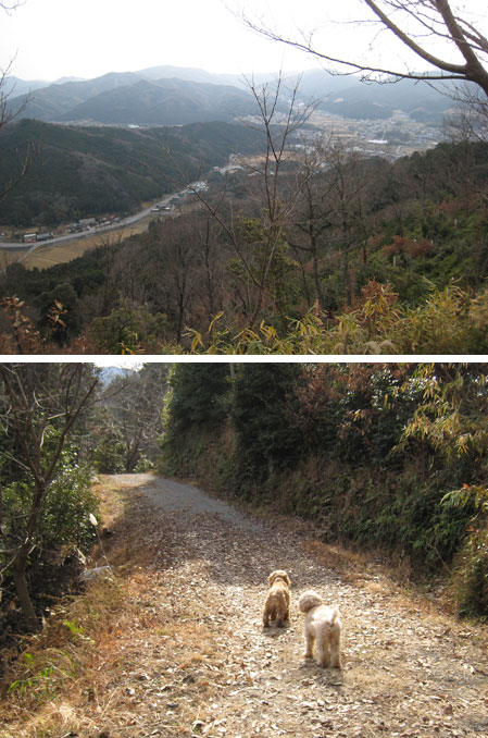 山散歩