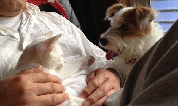 ジャックとニーム