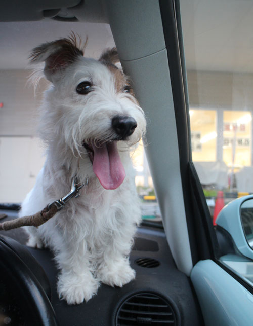 ジャックのドライブ