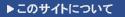 ���̃T�C�g�ɂ���