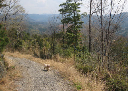 山散歩