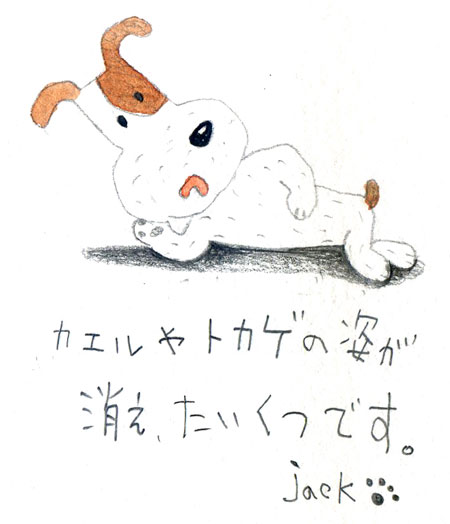 たいくつ