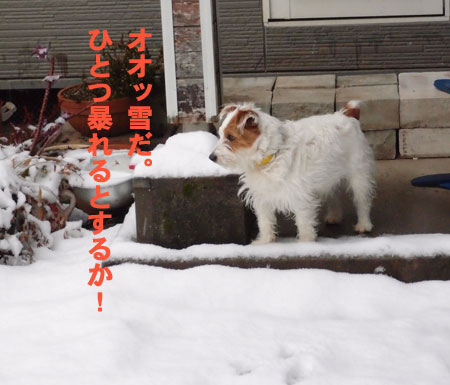 ジャックと雪