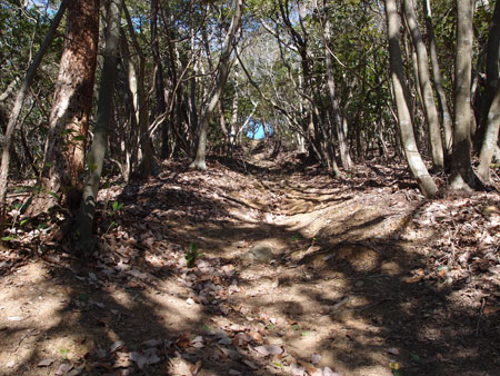 山散歩