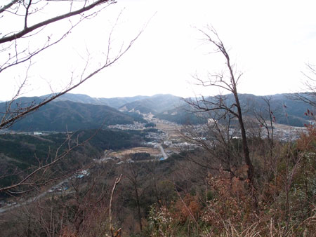 額田