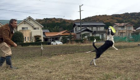 ヘンプ