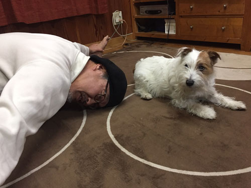 ストレッチ