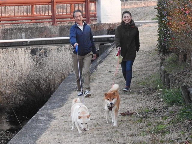 犬仲間