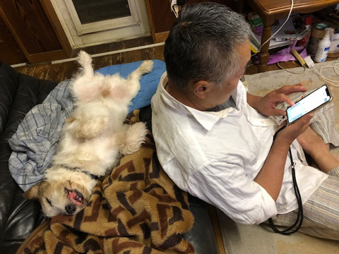 へそ天