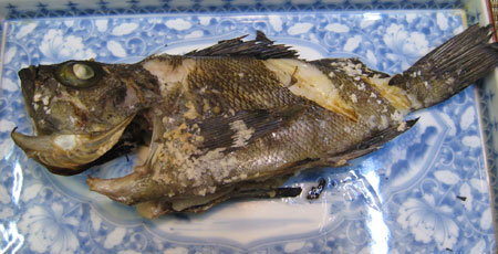 メバルの塩焼き