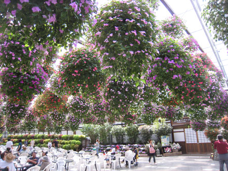 掛川花鳥園