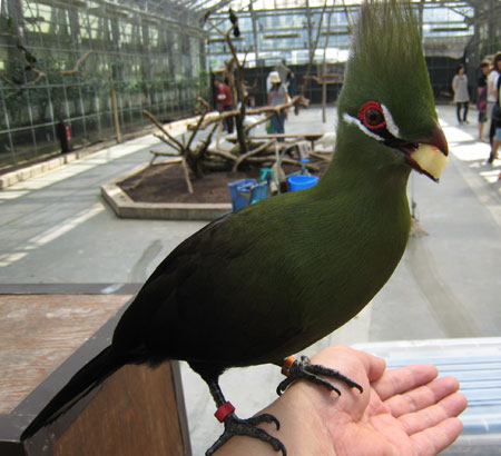 掛川花鳥園