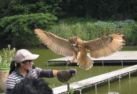掛川花鳥園