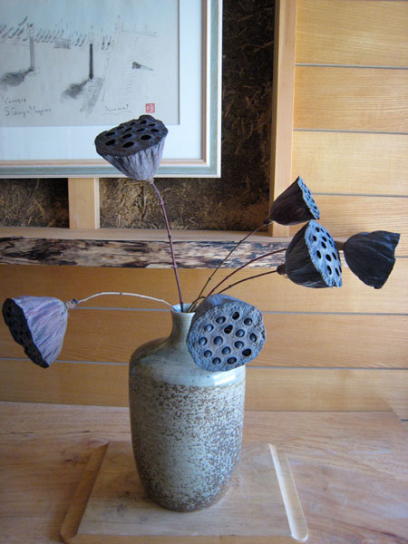 蓮の花托