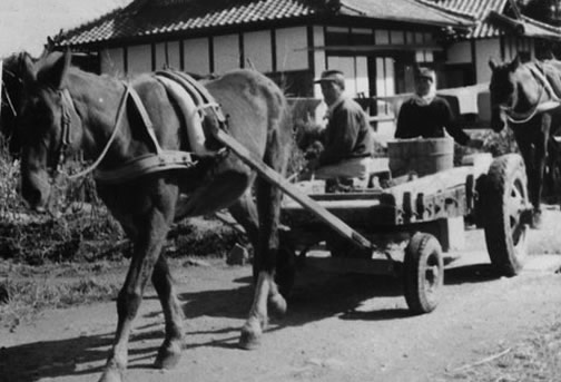 馬車
