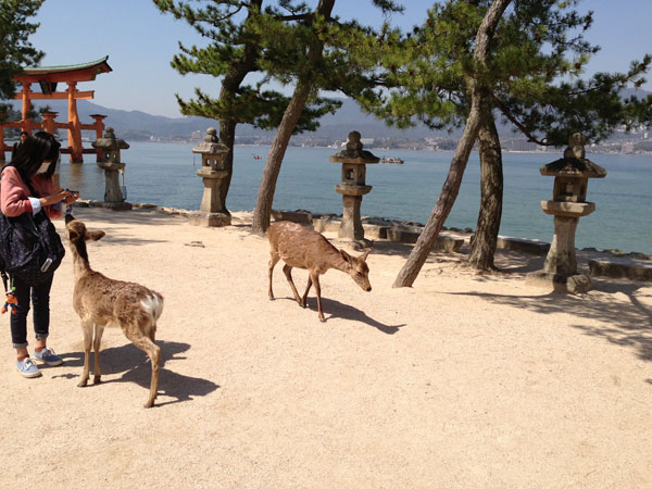 宮島