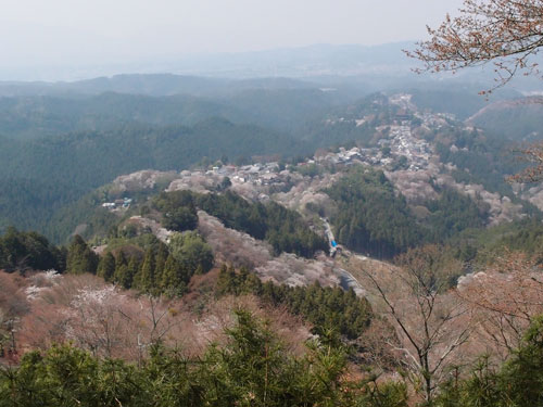 吉野