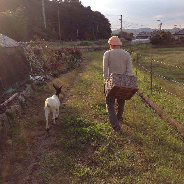 フーと散歩