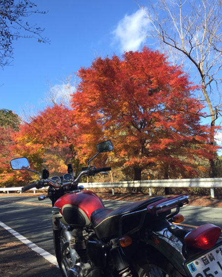 ｗ−650