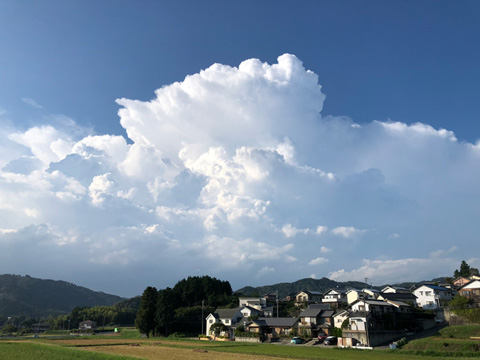 積卵運