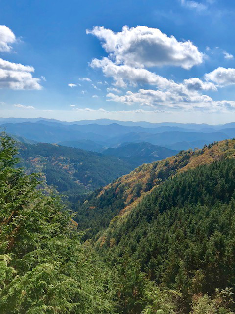 茶臼山