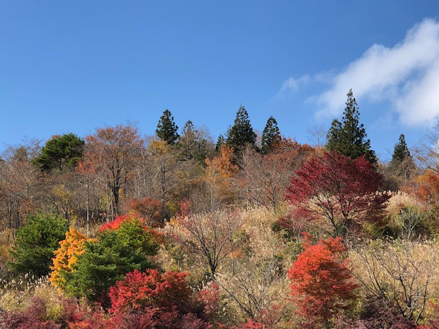 茶臼山