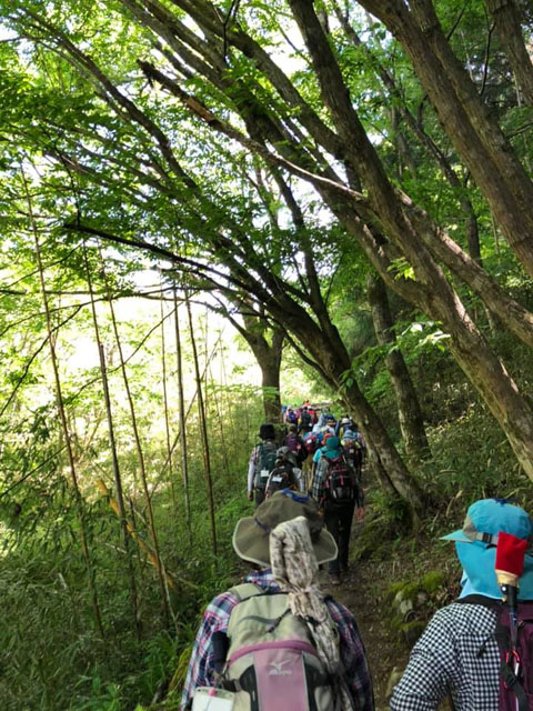 里山歩き