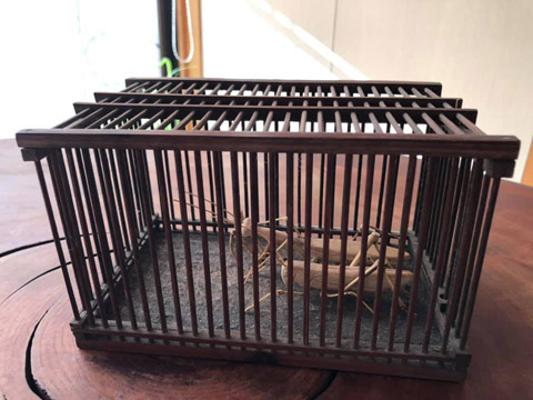 虫かご