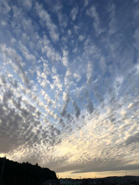 雲