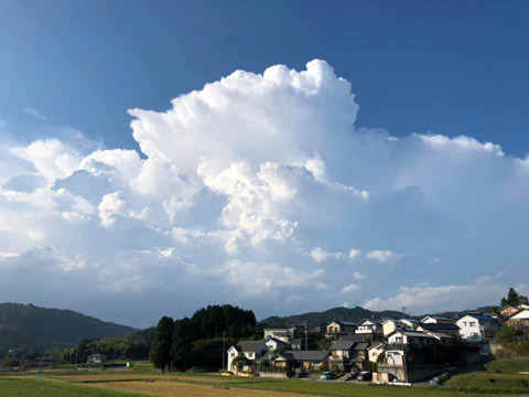 雲