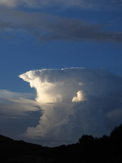 雲