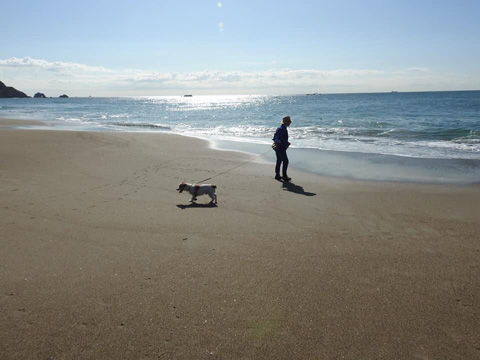 海ケント