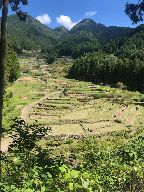 千枚だ