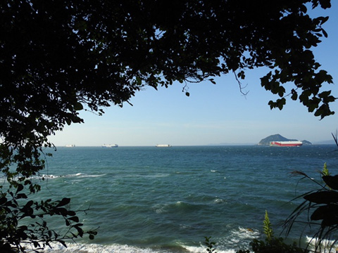 伊良湖