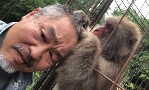 モン